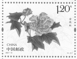 2021-18-2: Nezha