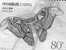 Insects