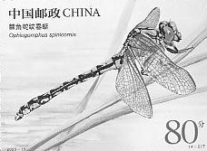 Insects