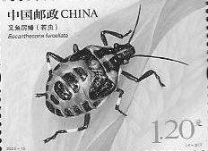 Insects