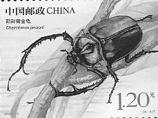 Insects