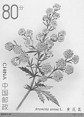 Herbs
