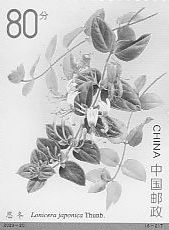 Herbs