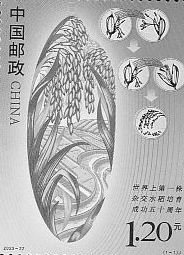 Hybrid Rice