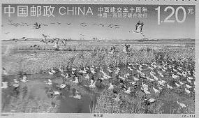 China - Spain
